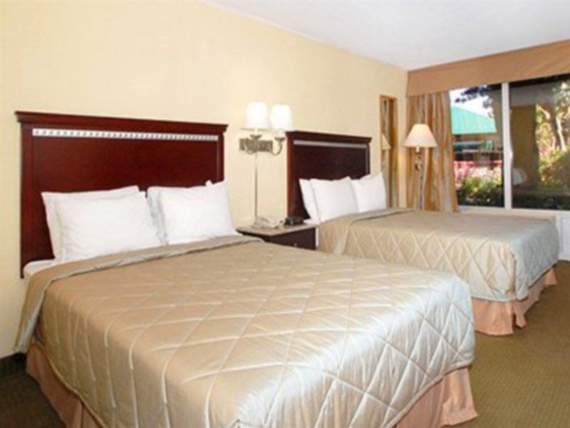 Quality Inn & Conference Center Tampa Exteriör bild